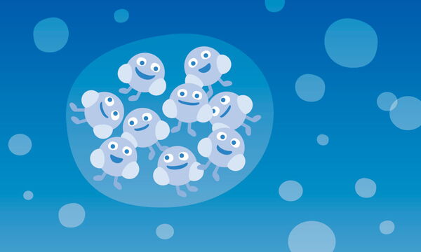 Erklärfilm Wasserkreislauf